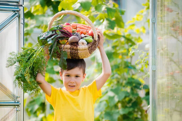 Netter kleiner Junge mit einem Bündel frischem Bio-Gemüse im heimischen Garten. — Stockfoto