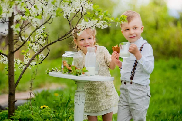 Little girl boy nature drinking milk with cookies background flowering cherry tree garden lush greenery. — Stock Photo, Image