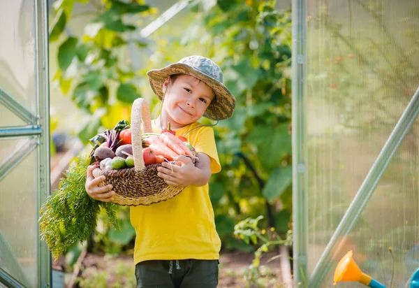 Netter kleiner Junge mit einem Bündel frischem Bio-Gemüse im heimischen Garten. — Stockfoto