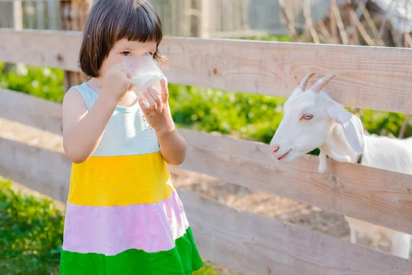 Una niña está alimentando a una cabra en el césped un verano soleado, en un país en Rusia . —  Fotos de Stock