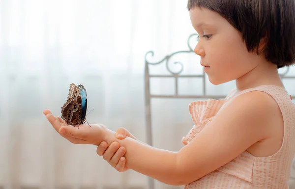 Mariposa tropical Morfo sentado en la mano de un niño, macro . — Foto de Stock