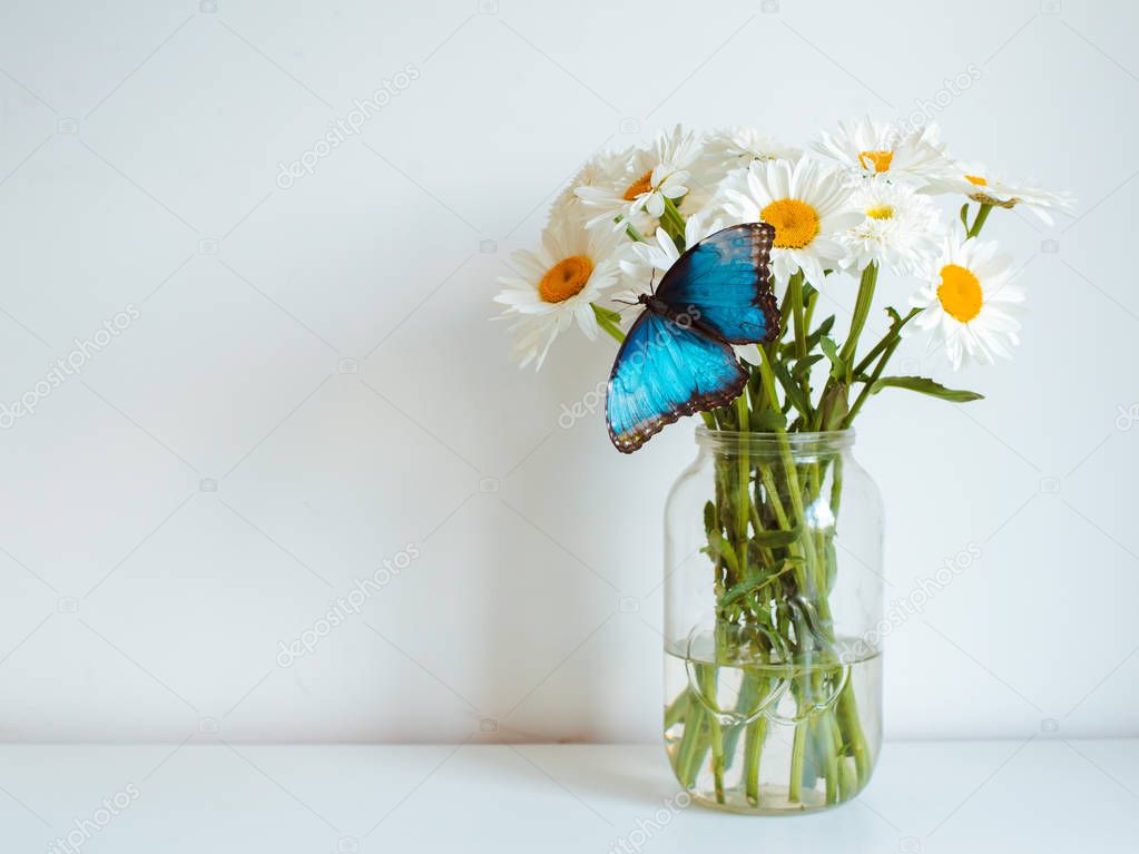 Bouquet of white flowers in a jar on a white background. Butterfly sitting on daisies and gerbera.