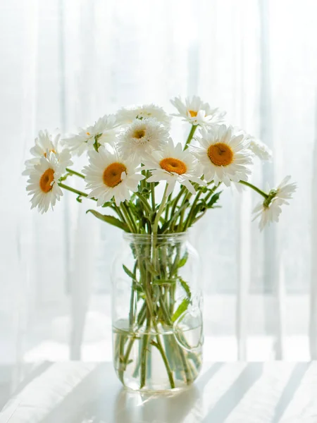 Bukett vita blommor i en burk på en vit bakgrund. Butterfly sitter på prästkragar och Gerbera. — Stockfoto