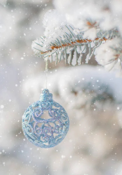 겨울 자연의 크리스마스 배경에는 녹슨 가문비나무, 반짝 이는 것, 보케, 눈. — 스톡 사진