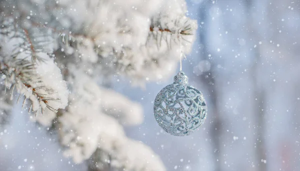 Hiver nature Fond de Noël avec épicéa congelé, paillettes, bokeh, neige. — Photo