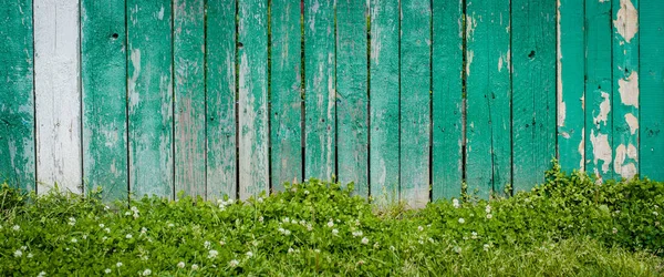 Frischer Frühling grünes Gras Blatt Pflanze über Holzzaun Hintergrund — Stockfoto