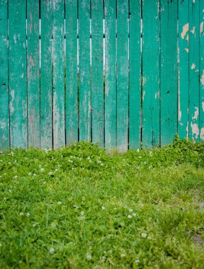 Taze bahar yeşili çimen yaprağı bitkisi ahşap çitin arkasında