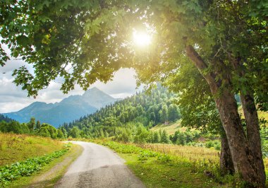 Dağ yolu. Kayalıklı manzara, ağaçtan geçen güneş ışığı ve yazın asfalt yol..