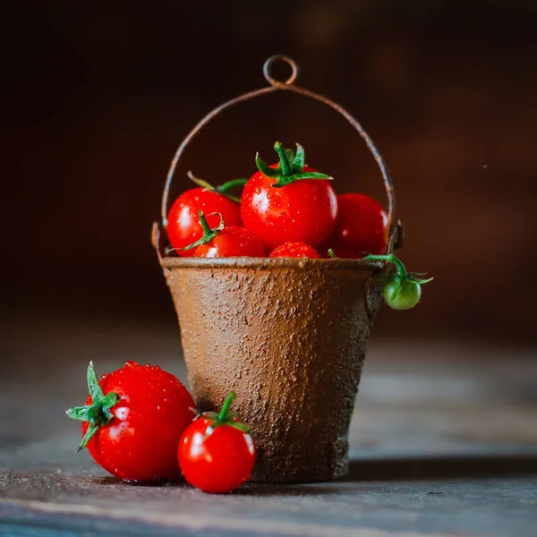Cherry tomatoes in a decorative rusty old bucket on a dark rustic background. — Stock Photo, Image