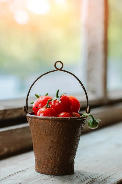 어두운 시골 배경에 있는 아름답고 녹슨 낡은 양동이에 있는 체리 토마토. — 스톡 사진