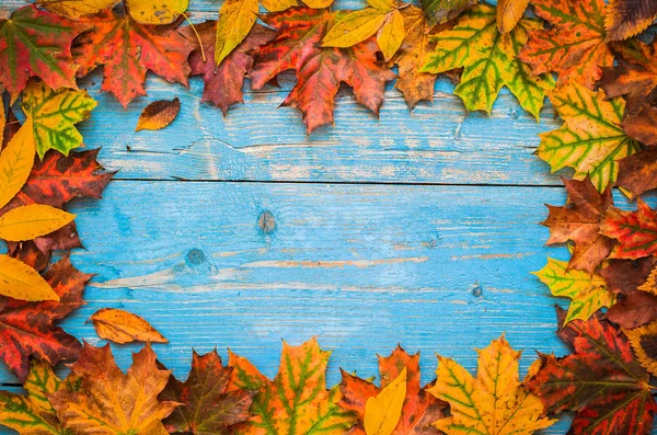 Autunno foglie gialle su vecchio sfondo di legno blu. — Foto Stock