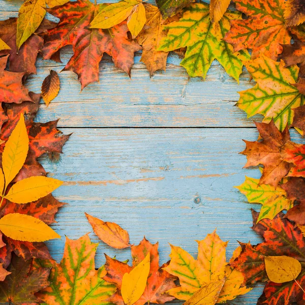 Autunno foglie gialle su vecchio sfondo di legno blu. — Foto Stock