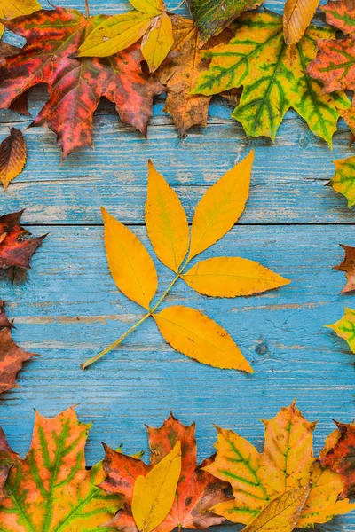 Autunno foglie gialle su vecchio sfondo di legno blu. — Foto Stock