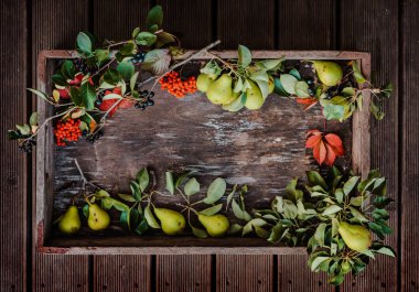 Kırmızı ve siyah Rowan, armut dalları ve sonbahar yapraklarıyla eski ahşap bir yüzeyde..