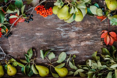 Kırmızı ve siyah Rowan, armut dalları ve sonbahar yapraklarıyla eski ahşap bir yüzeyde..