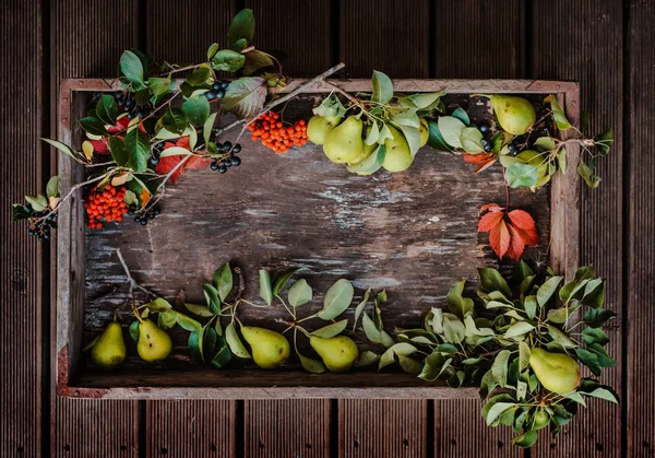 Kırmızı ve siyah Rowan, armut dalları ve sonbahar yapraklarıyla eski ahşap bir yüzeyde..