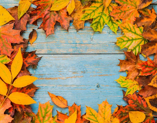 Jesienny żółty liście na starym niebieskim drewnianym tle. — Zdjęcie stockowe