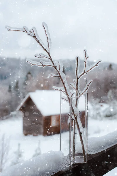冬の森を背景にガラスの花瓶に氷と冷凍枝 — ストック写真
