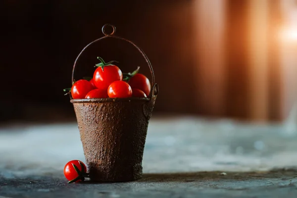 Körsbärstomater i en dekorativ rostig gammal hink på en mörk rustik bakgrund. — Stockfoto