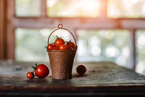 Cherry tomatoes in a decorative rusty old bucket on a dark rustic background. — Stock Photo, Image