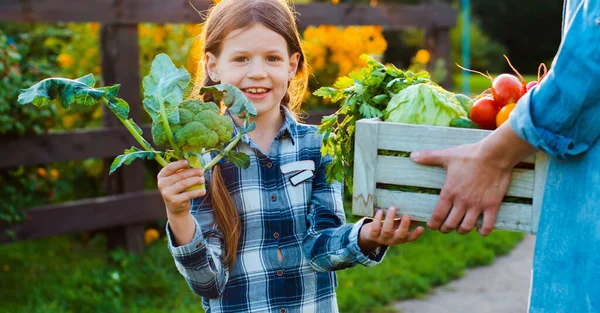 Kindermädchen hält Mama einen Korb mit frischem Bio-Gemüse mit dem heimischen Garten. — Stockfoto