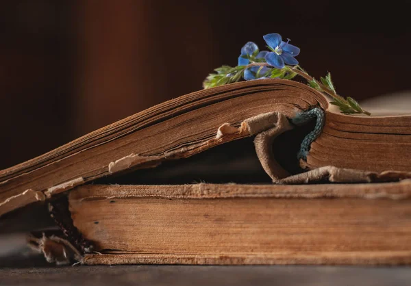 Vintage Boeken Met Een Boeket Van Lente Wilde Bloemen Nostalgische — Stockfoto