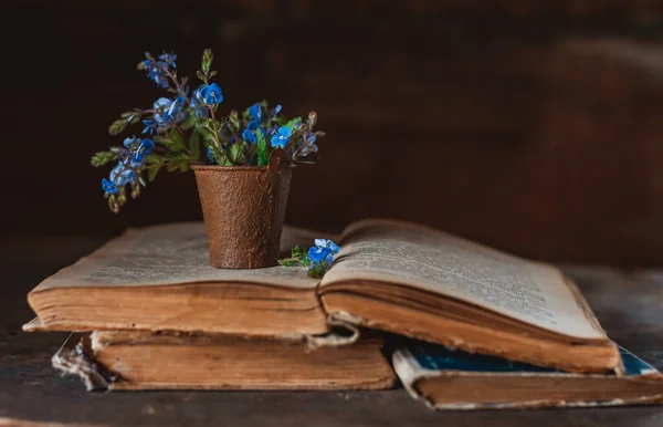 Mini Boeket Van Wilde Bloemen Een Decoratieve Emmer Oude Boeken — Stockfoto