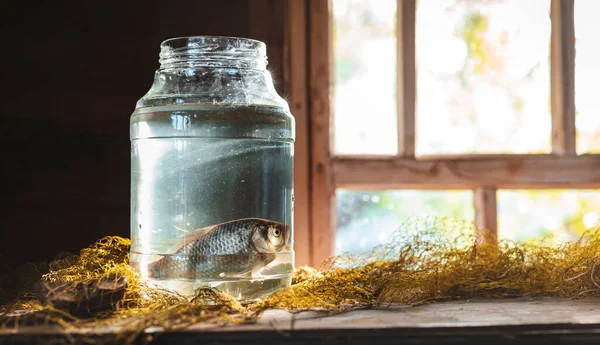 Two carp fish in a glass jar on the table with a fishing net. Fishing still life. Concept of fishing, captivity, hobby, summer in the village.