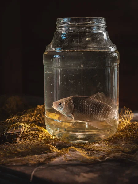 Две Карповые Рыбы Стеклянной Банке Столе Рыболовной Сетью Рыбалка Натюрморта — стоковое фото