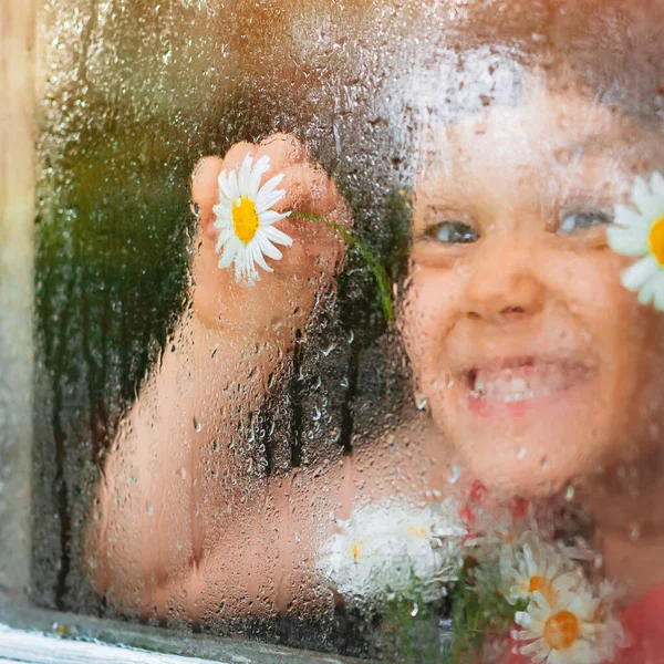 Raindrops on the glass of a village window, chamomile flowers eyes in children\'s hands look at the rain. Happy childhood and holidays in the country. The background of the summer weather.