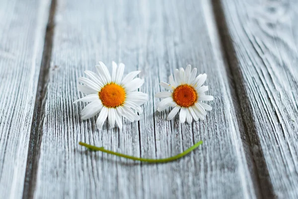 a smiley face made of daisies on a white old wooden background. free space for text