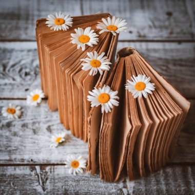 Beyaz papatya çiçekleriyle dolu eski kitaplar..