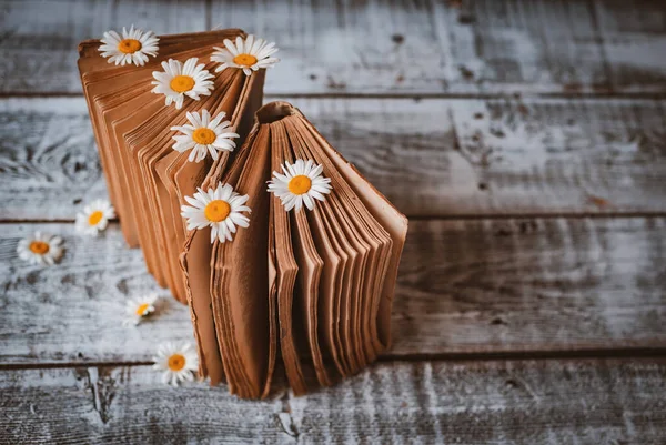 Oude boeken met bloemen van witte madeliefjes. — Stockfoto