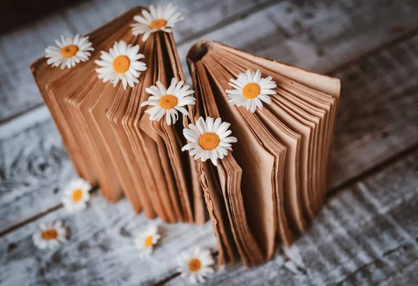 Beyaz papatya çiçekleriyle dolu eski kitaplar..