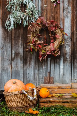 Ön verandaya düş. Sonbahar çelengi ve balkabakları eski ahşap kırsal arka planda, kapılarda. Metin için sonbahar bileşimi ve kopyalama alanı