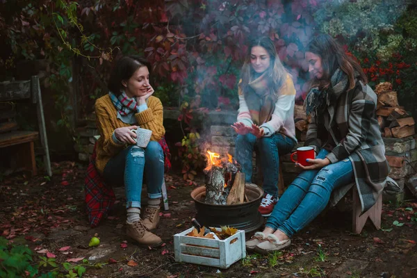 three friends relax comfortably and drink wine on an autumn evening in the open air by the fire in the backyard.