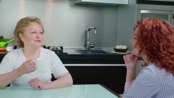 Mère Aînée Fille Adulte Parlant Sur Cuisine — Video