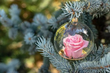 Noel pembe çiçek köknar ağacı asılı cam küre (sonsuz gül) korunmuş