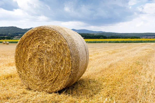 Hay-roll on meadow against field sunflowers — Stock Photo, Image