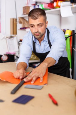 Erkek stüdyo alt renkli kağıt keser