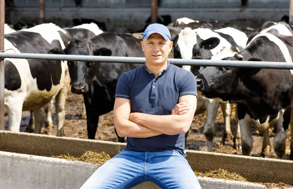 Agricultor na fazenda com vacas leiteiras — Fotografia de Stock