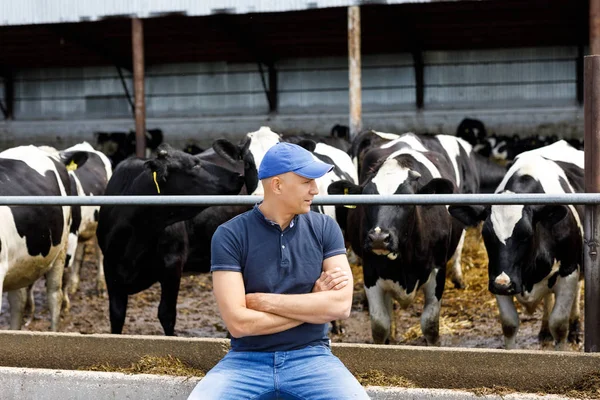 Farmer at farm with dairy cows — Stock Photo, Image