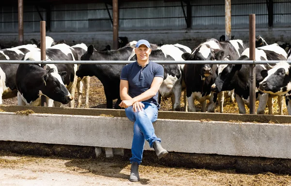 Счастливый фермер среди коров — стоковое фото