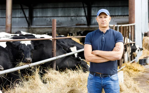 Agricultor en granja con vacas lecheras — Foto de Stock