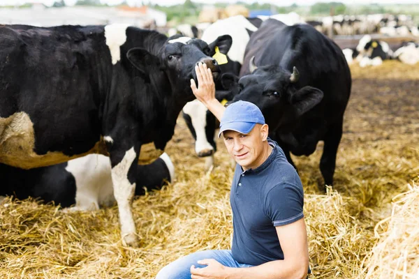 Happy farmer among cows — Stock Photo, Image