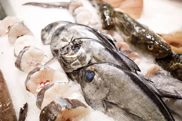 Rodajas de atún y salmón sobre hielo en el mercado de pescado —  Fotos de Stock