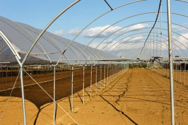 Büyük endüstriyel seralar