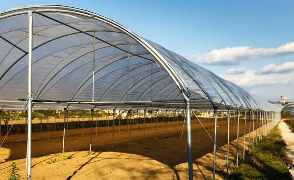 Large industrial greenhouses — Stock Photo, Image