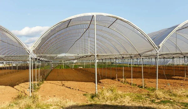 Large industrial greenhouses — Stock Photo, Image