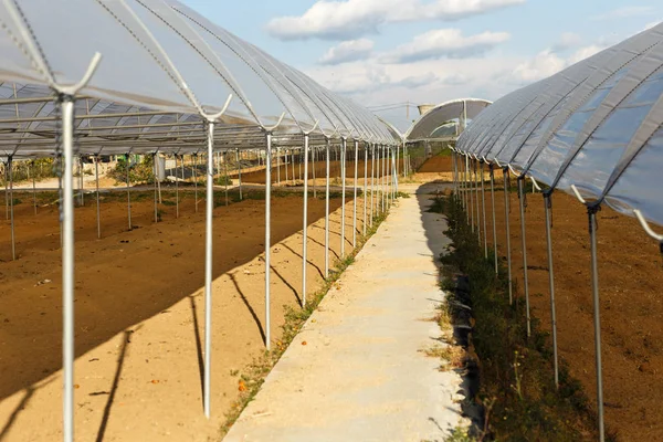 Large Industrial Greenhouses Spring Day — Stock Photo, Image